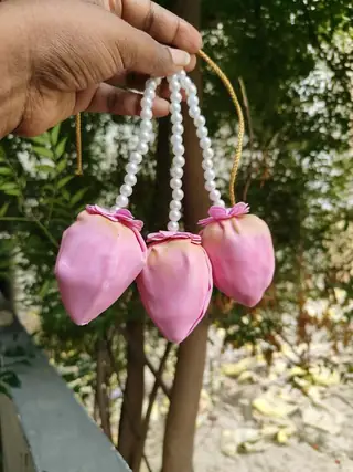 Lotus jadakuchullu 