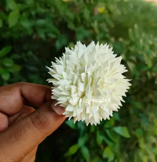 Foam pichi alligator clip 